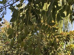 -长安大学(北校区)