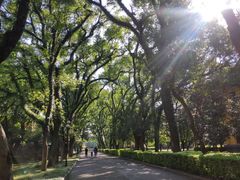 -桂林独秀峰王城景区