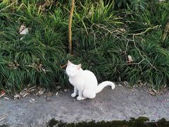 -汇德隆银隆