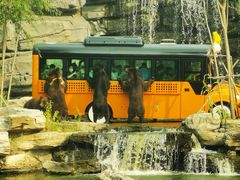 -北京野生动物园