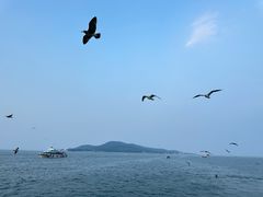 -刘公岛景区