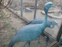 -齐齐哈尔龙沙动植物园