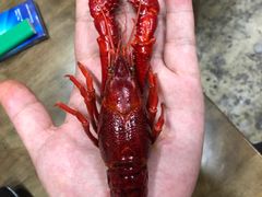 清水龙虾-日食记精菜馆(建邺万达店)