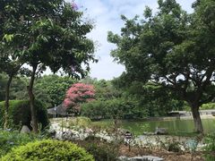 -东莞植物园