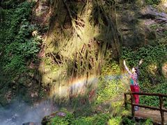 -莫里热带雨林景区