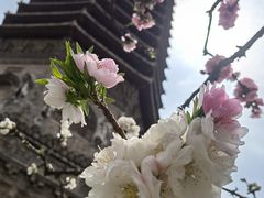 -玲珑塔公园