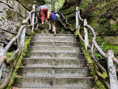 -汤旺河林海奇石景区