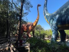 -森波拉火山温泉