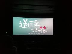 -武商摩尔影城(国广IMAX激光店)