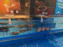 -海底捞火锅(长宁路龙之梦店)