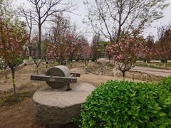 -太阳宫公园