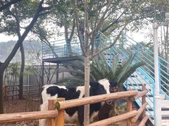 -海兰云天度假区温泉