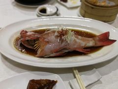 红星斑蒸鱼-帝皇楼