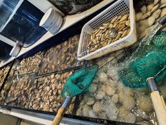 -海天盛宴新派海鲜自助餐厅(群力店)