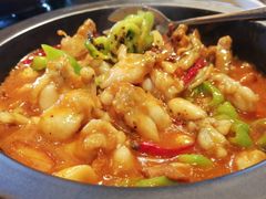 黑松露牛肝菌焖牛蛙-云海肴·汽锅鸡·云南菜(天山百盛优客店)