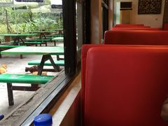 靠窗位-绿野餐厅(上海动物园店)