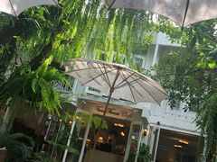 -Fern Forest Cafe