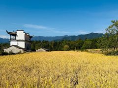 -塔川景区