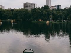 -晓港公园