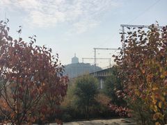 -永定河休闲森林公园