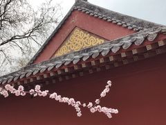 -桃花堤公园