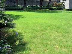 -上海孙中山故居纪念馆