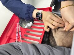 -北京观赏动物医院·24小时大型综合·猫专科·异宠专科