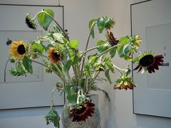 -牛房Beefun牛排房