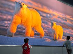 -罗红摄影艺术馆