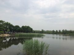 -永定河休闲森林公园