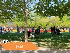 -朝阳公园游乐园