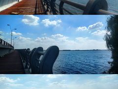-漕湖湿地公园