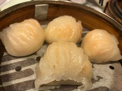 虾饺-点点心点心专门店(旺角店)