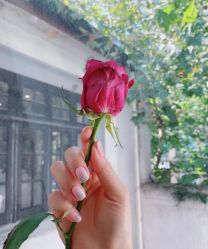 -BELLAREAL新美社