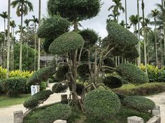 -蔡家宅