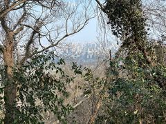 -大蜀山国家森林公园