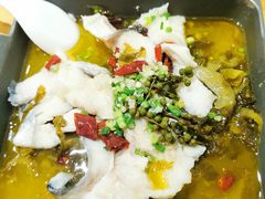 酸菜鱼-美食小镇·观赏珍稀鸟类·长隆熊猫酒店