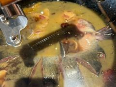 -桃源村铁锅炖鱼(体育馆道店)