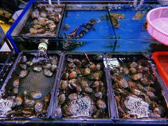 -胡家庙海鲜副食批发市场