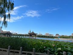 -莲花池公园