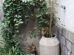 -水岸居湖景农家乐·阳澄湖大闸蟹