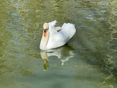 -新疆天山野生动物园