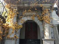 -北京鹫峰国家森林公园