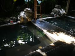 -和顺柏联温泉