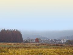 -塔川景区