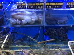 水产区-金龙·打边炉(武进路店)