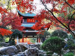 -岳麓山风景名胜区