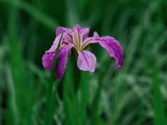 -苏州河梦清园环保主题公园