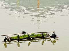 -新安江山水画廊风景区