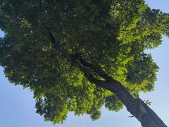 -汉长安城未央宫国家考古遗址公园